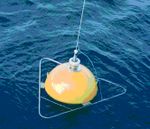Waverecorder buoy.JPG