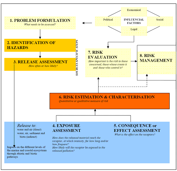 Presentation of the general key tasks in environmental risk assessment (Based on Fairman et al. (1999)