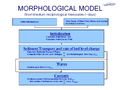 Morphological model short timescale.PNG