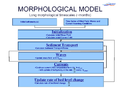 Morphological model long timescale.PNG