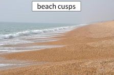 Beach cusps.jpg